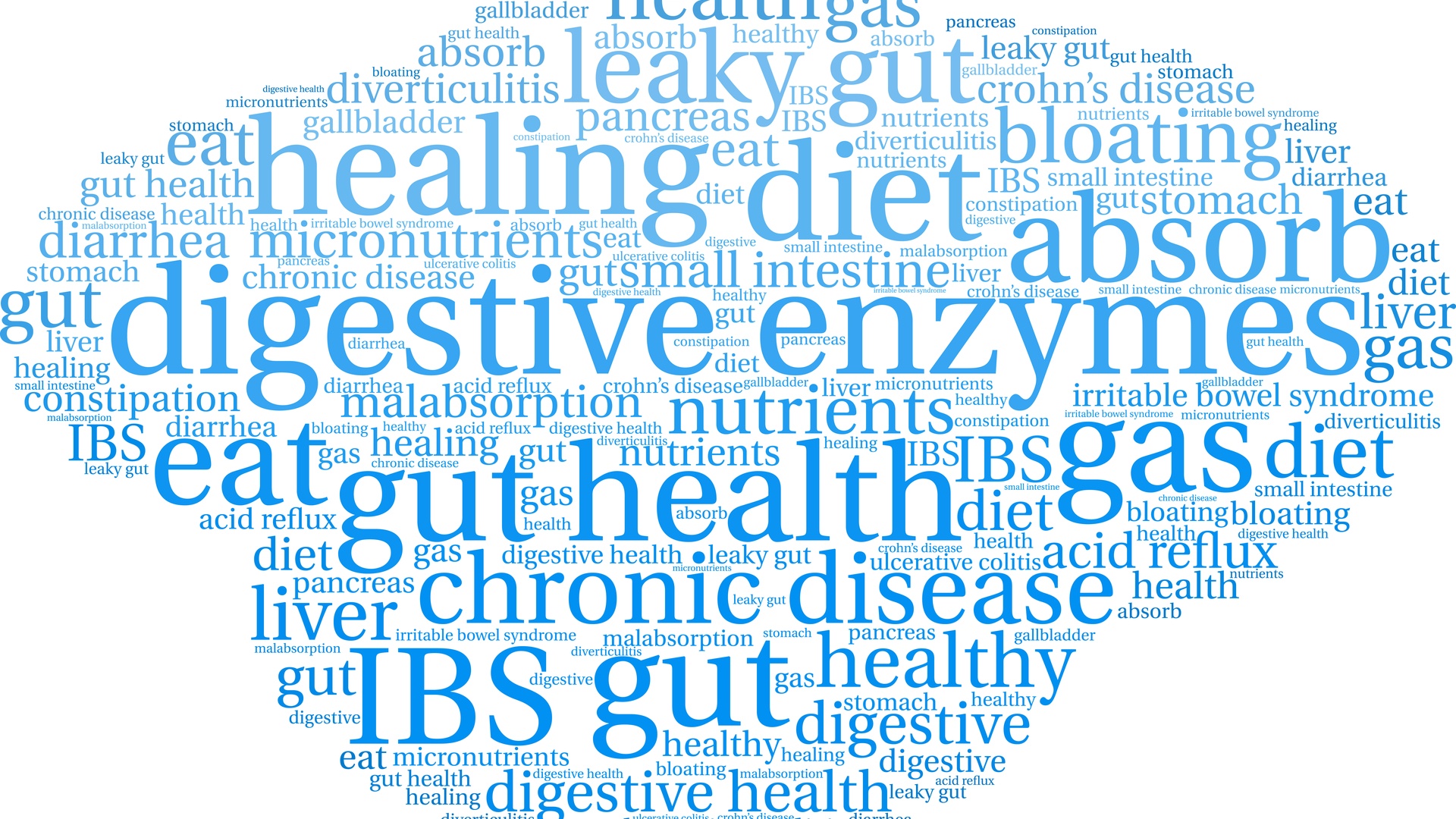 Functions of Digestive Enzymes