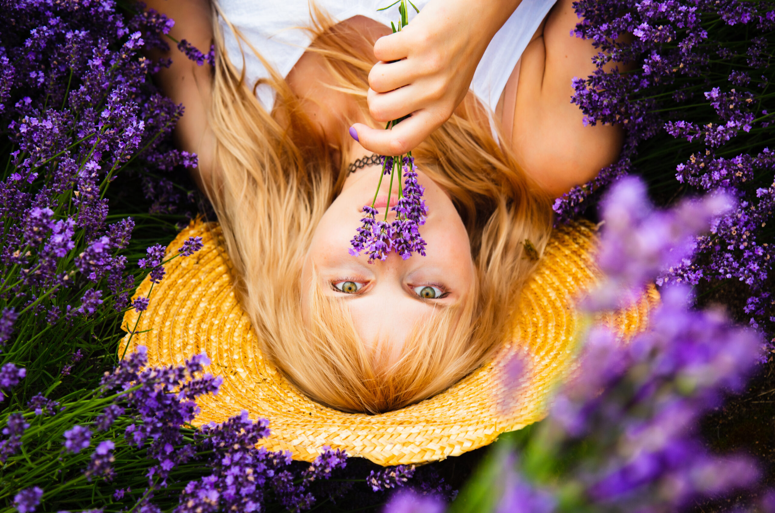 Lavender scent in skincare is a great natural option for fragrance in skincare