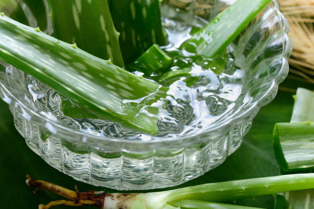 Aloe for winter skincare